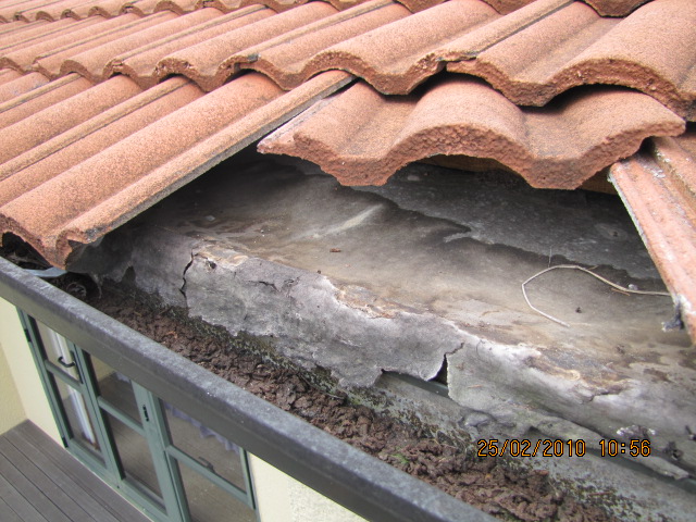 Water pooling, roofing paper ripped and no anti-ponding boards.