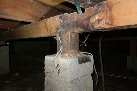 joist-water-damage - North Star Inspections